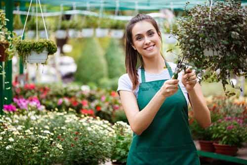 Curso de jardinería en línea